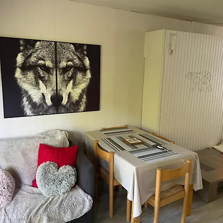 Grand Apartment Combloux